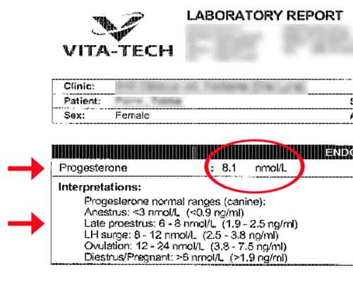 Lab results example