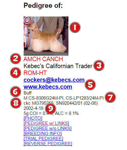 Cockers-Worldwide Pedigree Database search