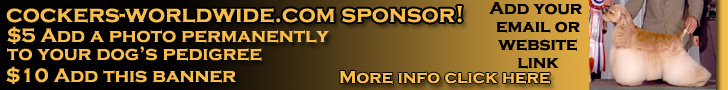 Cockers-Worldwide Banner Sponsor
